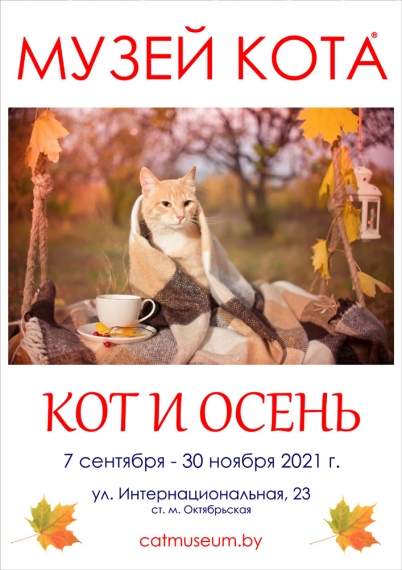 Куда сходить с ребенком на выходные 17-19 сентября? Куда сходить с ребенком на выходные 17-19 сентября?