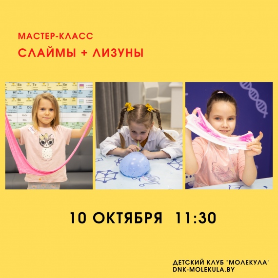 Мастер-класс «Лизуны и слаймы. Микс» Мастер-класс «Лизуны и слаймы. Микс»