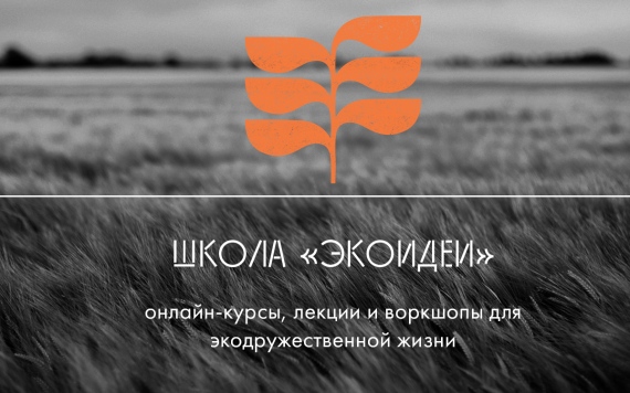  Ecoidea   -