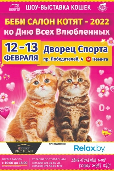 Куда сходить с ребенком на выходные 11-13 февраля? Куда сходить с ребенком на выходные 11-13 февраля?