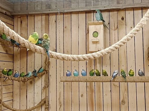    :     