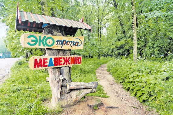 Экотропы Минска: лучшие маршруты для прогулок с семьей Экотропы Минска: лучшие маршруты для прогулок с семьей