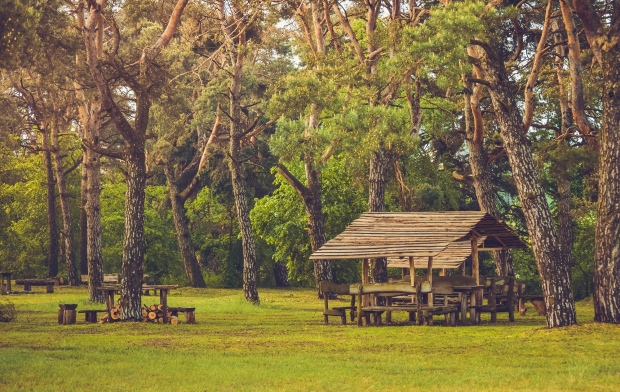 ����� �� �������: ������ ������� � ������ �� �������