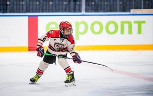 ��������� ���� ��������