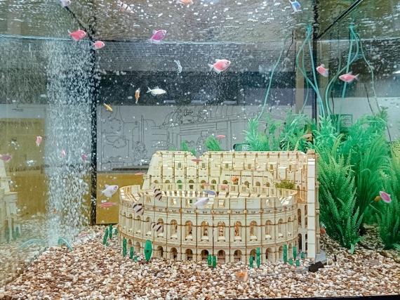  Duplo  :   Las-Legas   Dana Mall