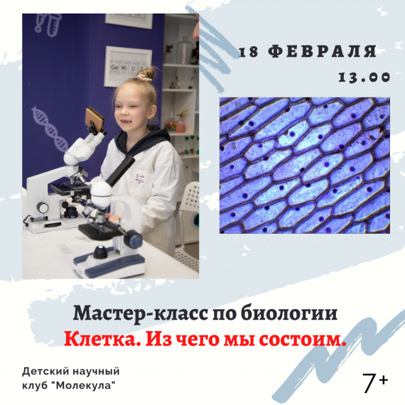 Мастер-класс по биологии «Что такое клетка?» Мастер-класс по биологии «Что такое клетка?»