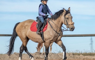 ������ ���� ��������