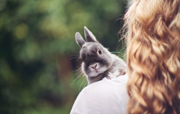 ������� ������� ���������� ����� �������� �� ����������