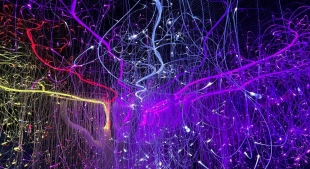 ������������� ������������ ���� ������� 