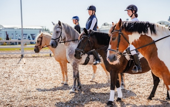 ����� �������� � ������ ����