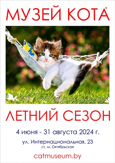 Летний Сезон в Музее Кота Летний Сезон в Музее Кота