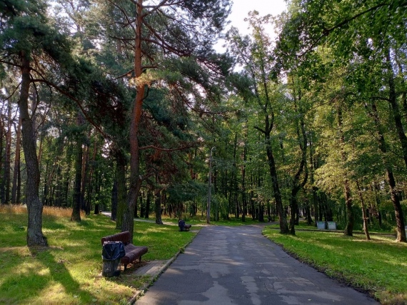 Самый спортивный: чем уникален обновленный Парк 50-летия Октября в Минске Самый спортивный: чем уникален обновленный Парк 50-летия Октября в Минске