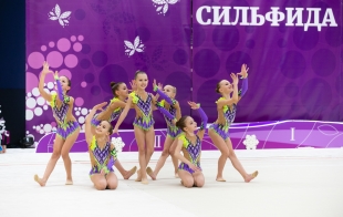 Клуб эстетической гимнастики «Сильфида» Клуб эстетической гимнастики «Сильфида»