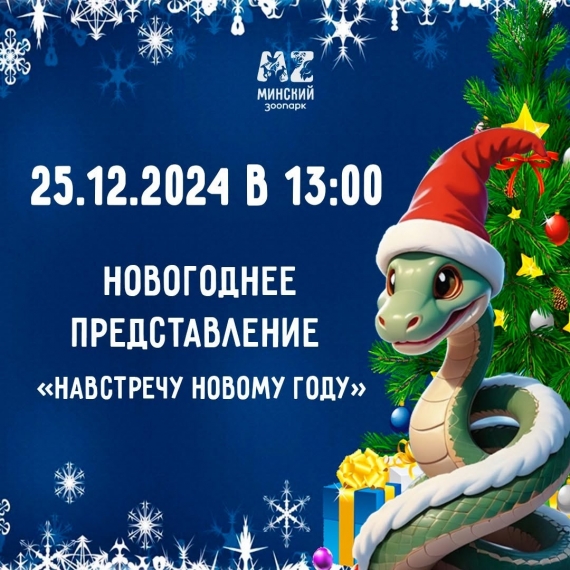 Представление «Навстречу Новому году!» Представление «Навстречу Новому году!»