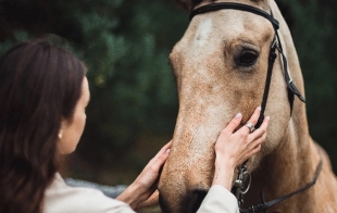 ������ ���� ����������