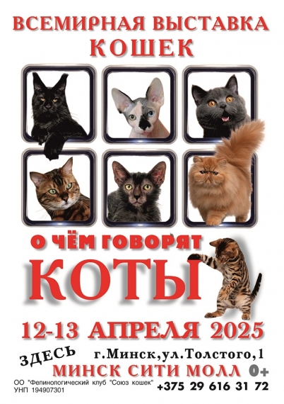 Всемирная выставка кошек Всемирная выставка кошек