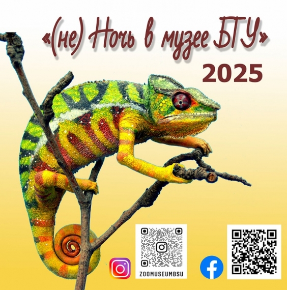     2025:    ?