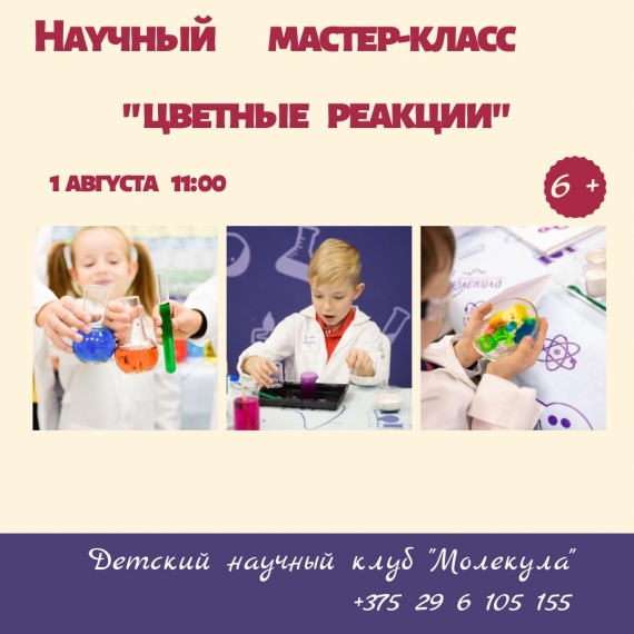 Научный мастер-класс «Цветные реакции» Научный мастер-класс «Цветные реакции»