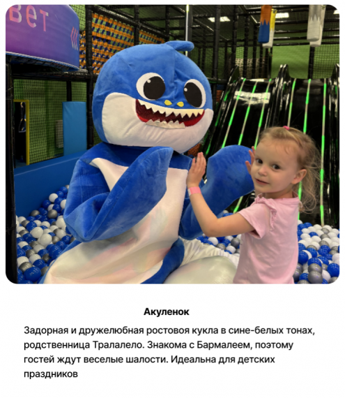 Игровое пространство «Тюбик Парк» Игровое пространство «Тюбик Парк»