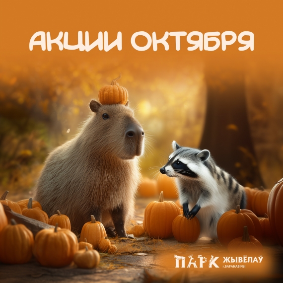 «Добрый октябрь» в Парке животных: акции месяца «Добрый октябрь» в Парке животных: акции месяца