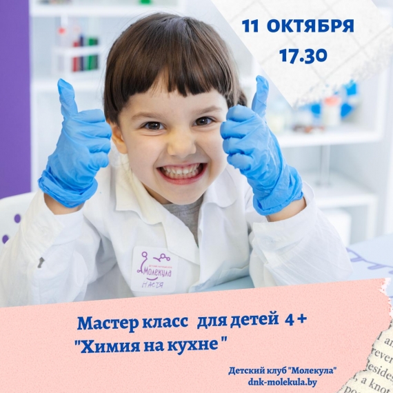 Научный мастер-класс «Химия на кухне» Научный мастер-класс «Химия на кухне»