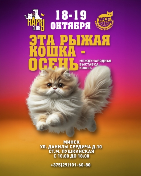 Международная выставка кошек «Эта рыжая кошка - осень…» Международная выставка кошек «Эта рыжая кошка - осень…»
