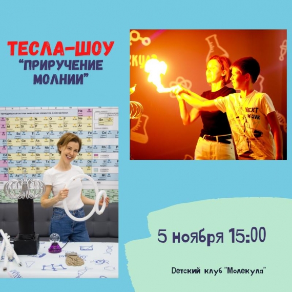 Познавательный мастер-класс с электричеством «Тесла-шоу» Познавательный мастер-класс с электричеством «Тесла-шоу»