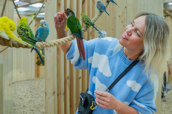 Попугайня Попугайня