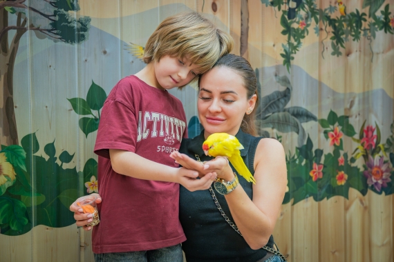 Попугайня Попугайня