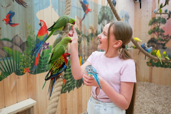 19 самых интересных музеев Минска, куда можно сходить с детьми 19 самых интересных музеев Минска, куда можно сходить с детьми