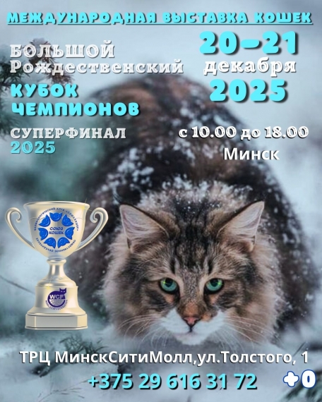 ������������� �������� �����