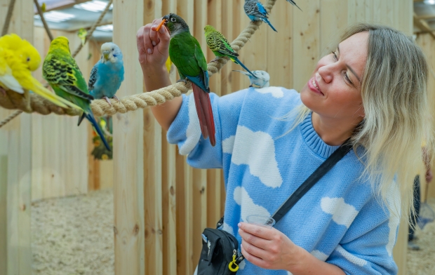 ��� ������ �������� �����������