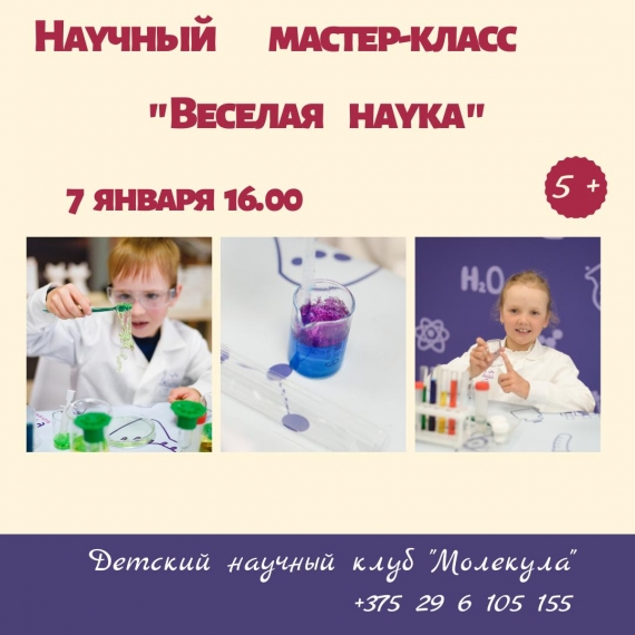 Научный мастер-класс «Веселая наука» Научный мастер-класс «Веселая наука»