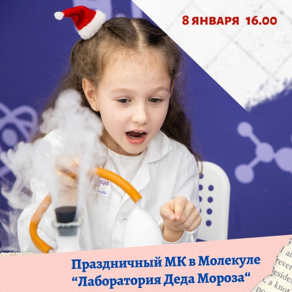 Мастер-класс «Лаборатория Деда Мороза» Мастер-класс «Лаборатория Деда Мороза»
