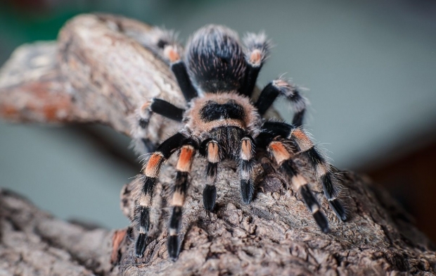 �������� ������ � �������� ��������� �������