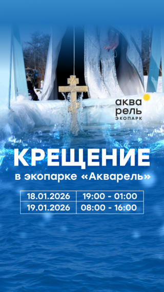 ���� ������� � �������� �� ��������