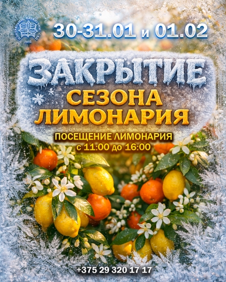 Куда сходить с ребенком в феврале? Куда сходить с ребенком в феврале?