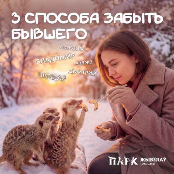 ���� �������� � �����������