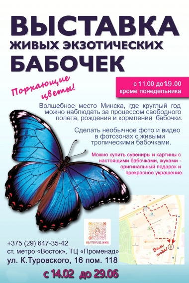 �������� ������ ������������ �������