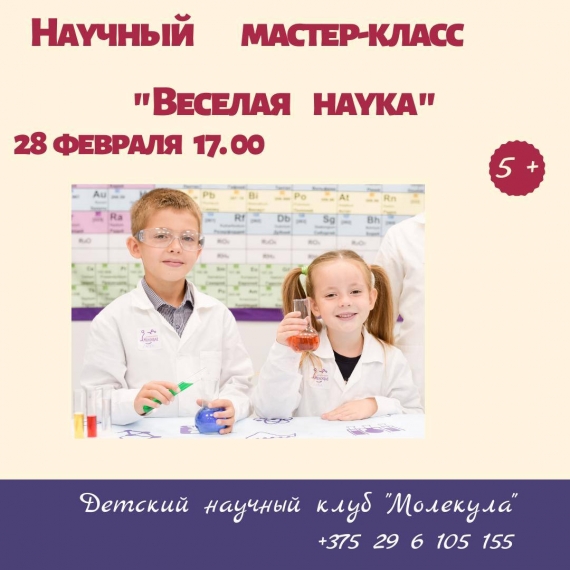 Научный мастер-класс «Веселая наука» Научный мастер-класс «Веселая наука»