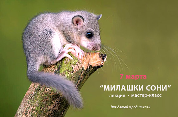 ����-��������� �������� ����