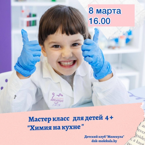 Научный мастер-класс «Химия на кухне» Научный мастер-класс «Химия на кухне»
