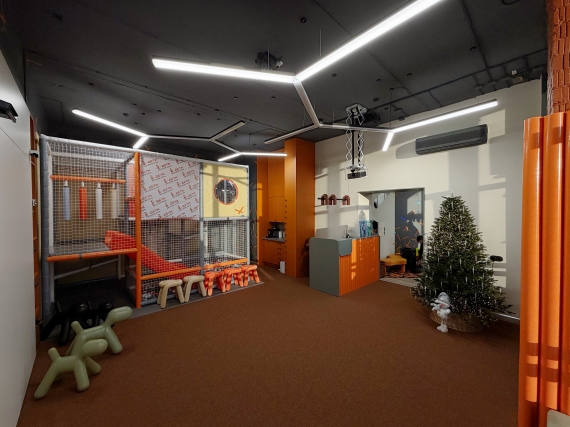 ��� �������� ������� ���� �������� � ������