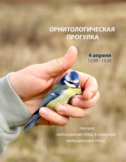 ����-��������� �� ��������� ������