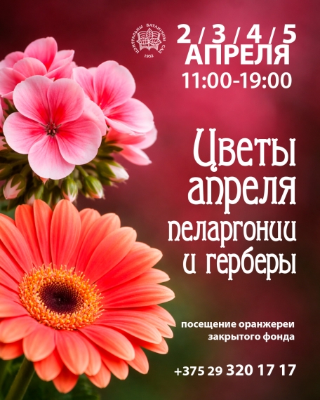 Выставка «Цветы апреля: пеларгонии и герберы» Выставка «Цветы апреля: пеларгонии и герберы»