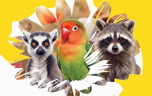 ������ � ����� ��������