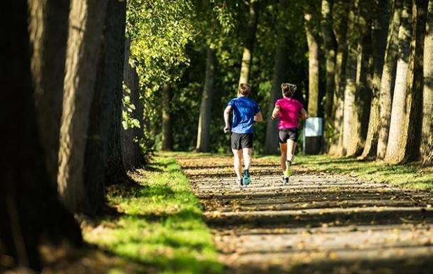 ����-����� #30 �����