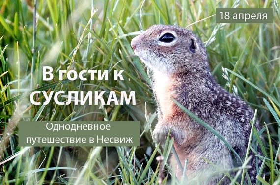 ����-�������� ����� � ����� ��������!�