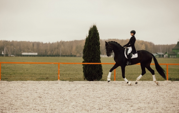 ������������� ������ ������������ � �������