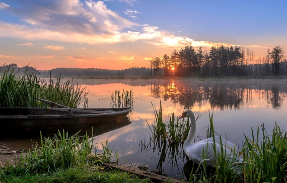 ���-15 ���������� ���� � ���� ����� ���� �� ������